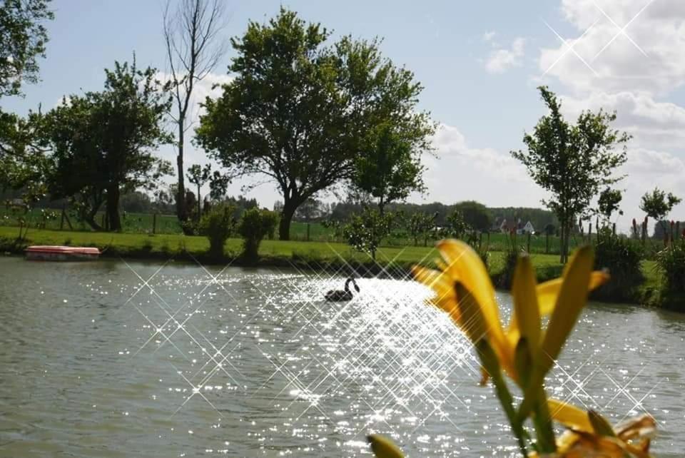 Gite Canard Fromelles Exteriér fotografie