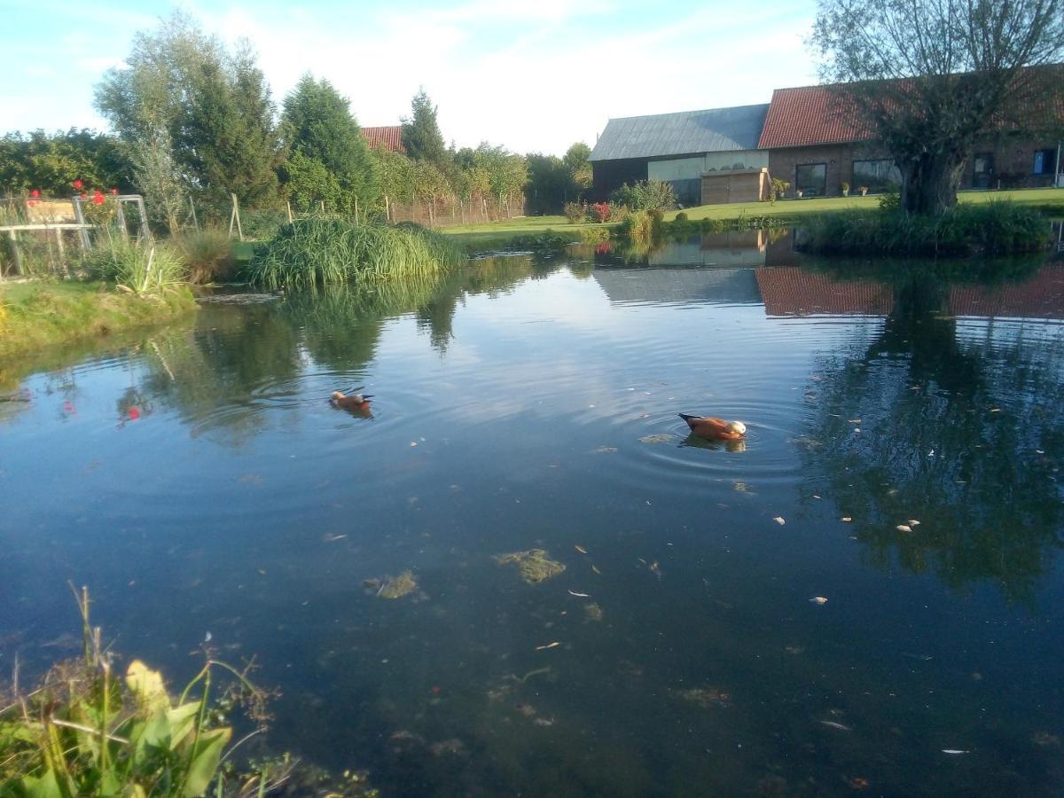 Gite Canard Fromelles Exteriér fotografie